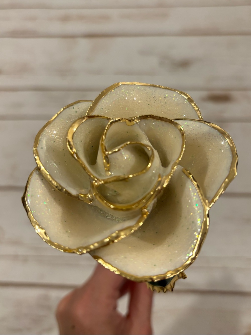 24K Gold Dipped Long Stem Lasting Rose